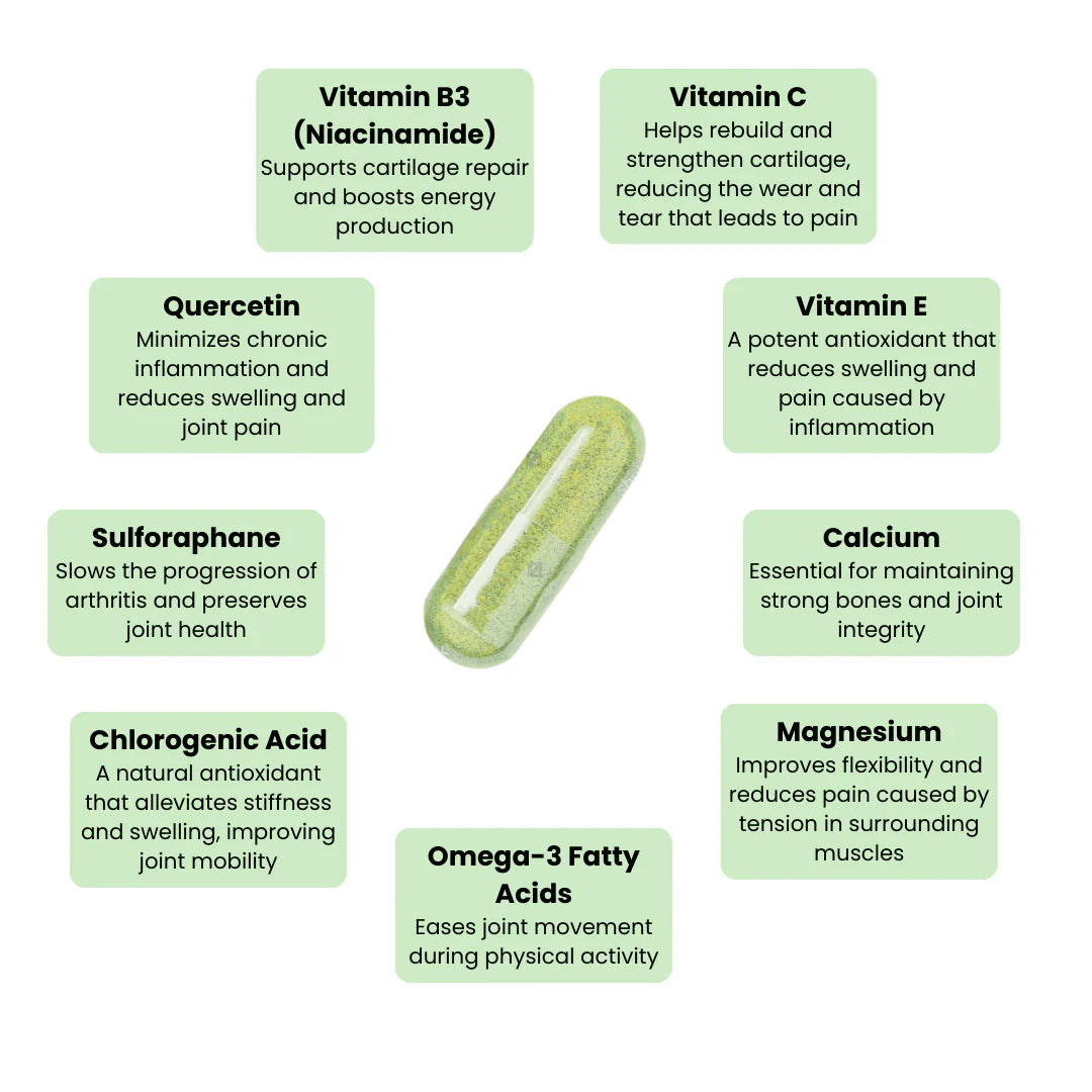NueVida Moringa Capsules